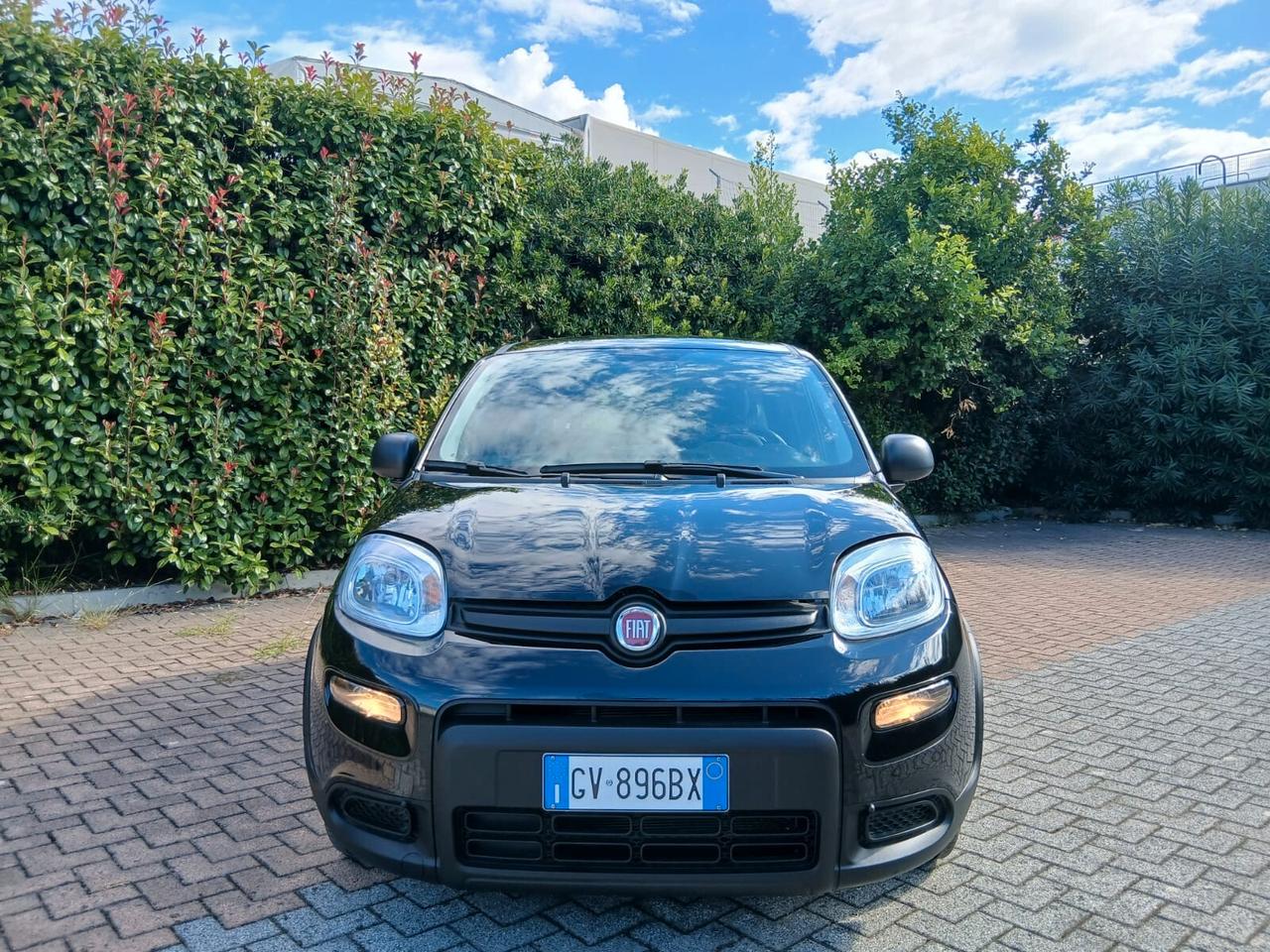 Fiat Panda Firefly sas hybrid