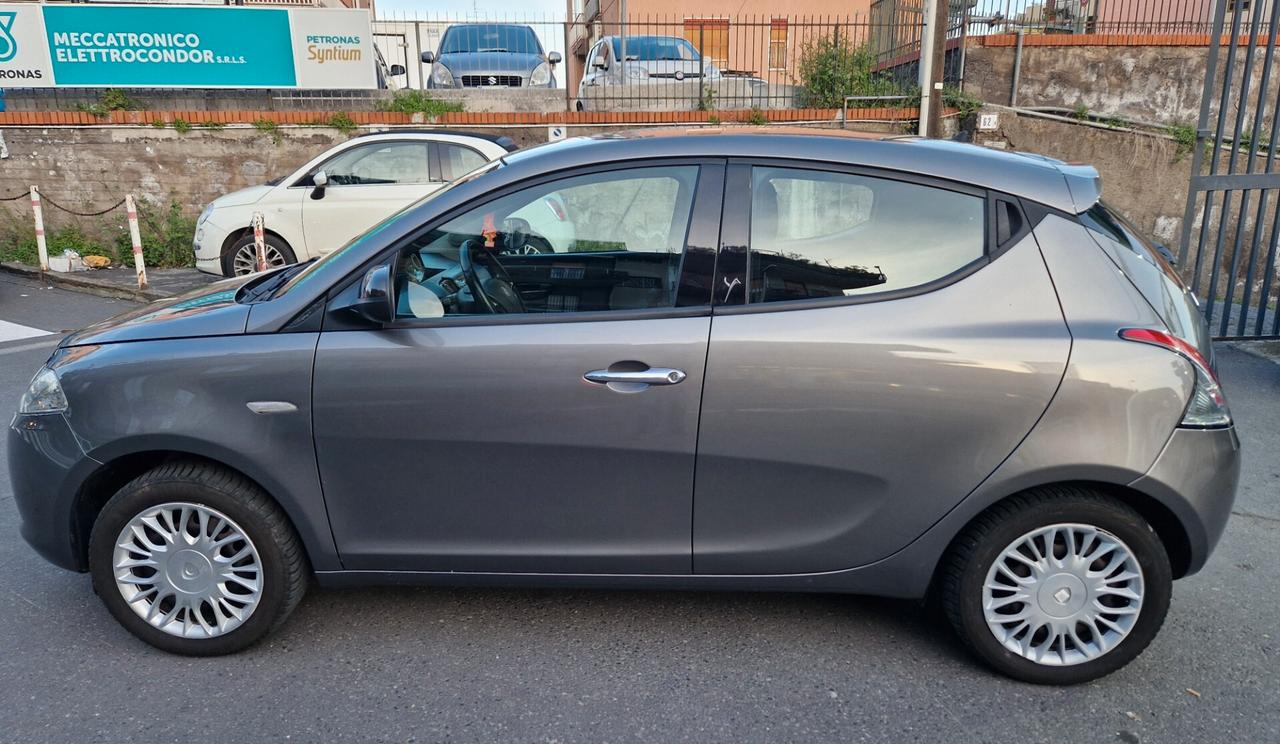 Lancia Ypsilon 1.3 MJT 16V 95 CV 5 porte S&S Platinum