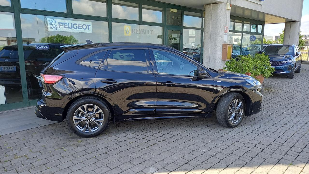 Ford Kuga 1.5 EcoBlue 120 CV aut. 2WD ST-Line