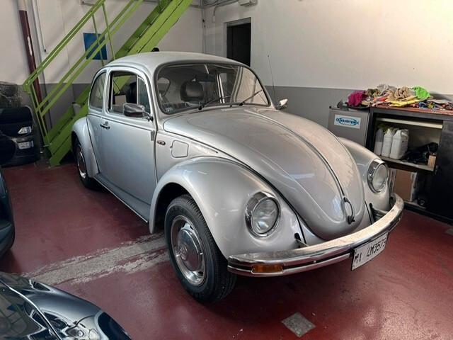 Volkswagen Maggiolino