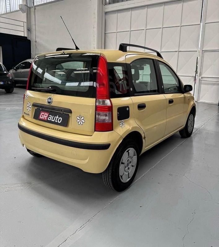 FIAT Panda Panda 1.2 Dynamic Class eco