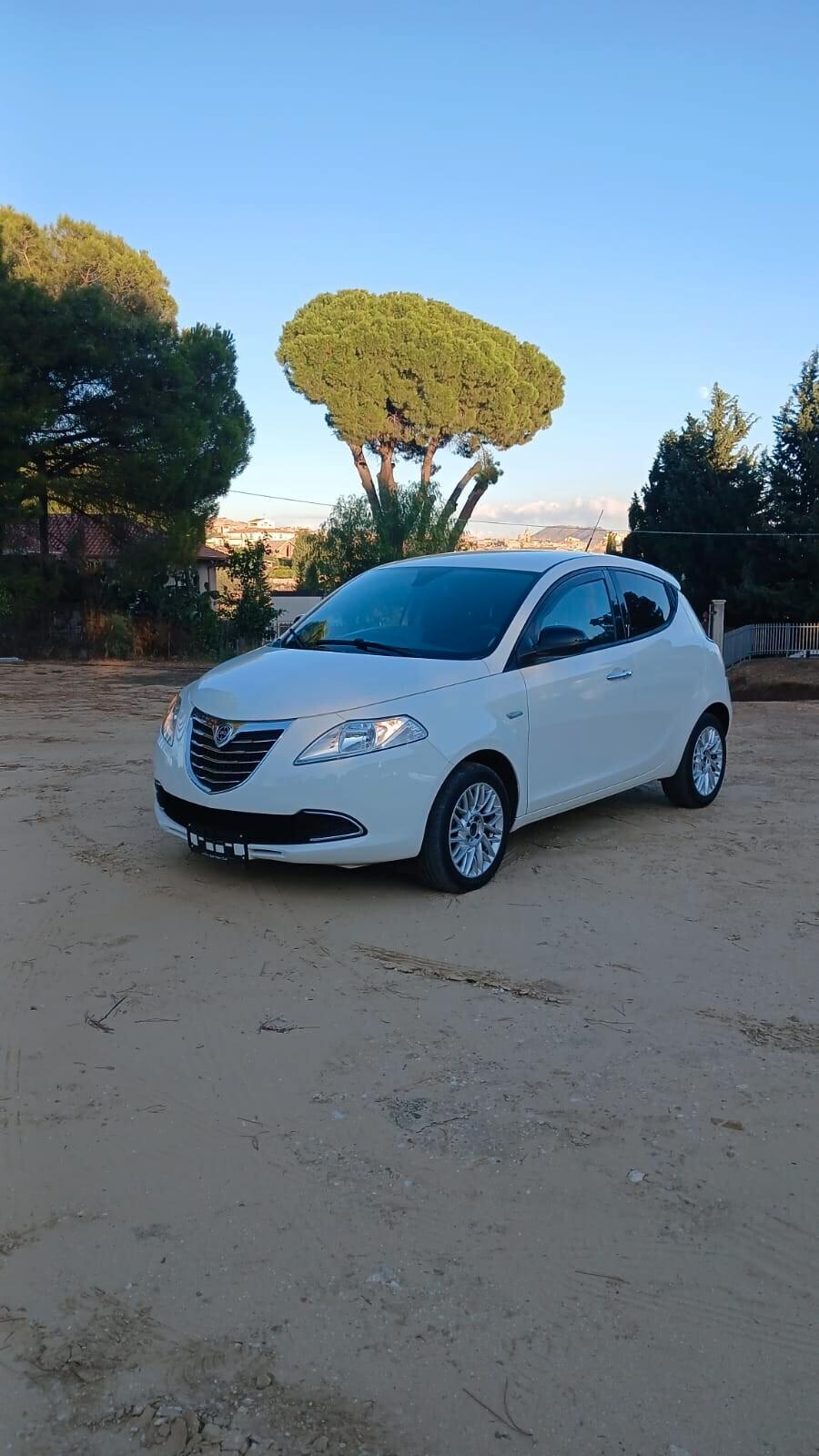 Lancia Ypsilon 1.2 69 CV 5 porte 2014
