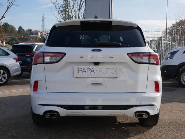 Ford Kuga 1.5 ecoblue ST-Line 2wd 120cv