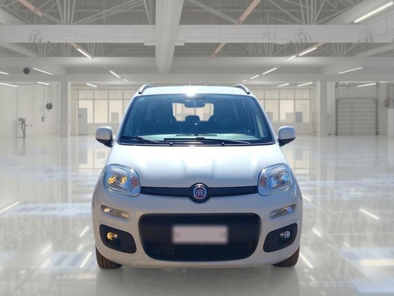 FIAT PANDA 1.2 69cv S/S E6d-Temp Lounge 5 PORTE