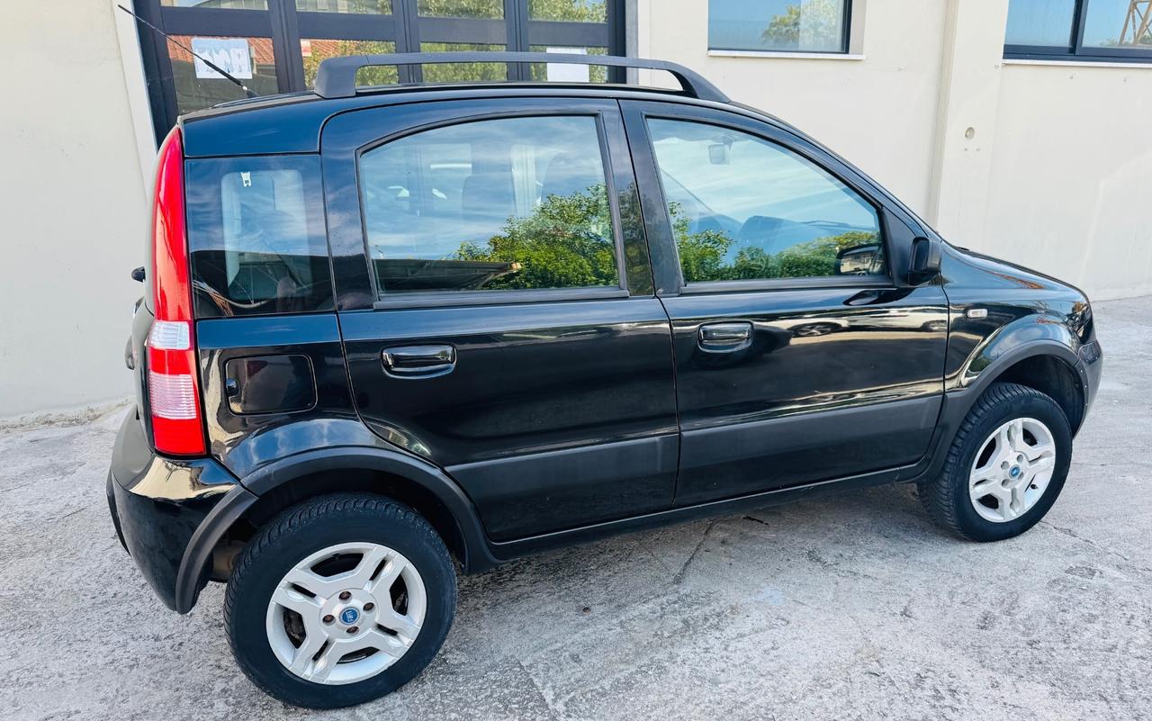 Fiat Panda 1.3 MJT 16V 4x4 Climbing
