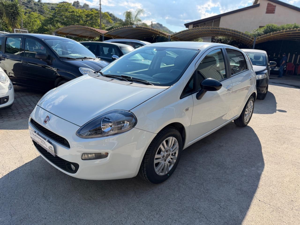 Fiat Punto 1.3 MJT 75 CV 5 porte Pop