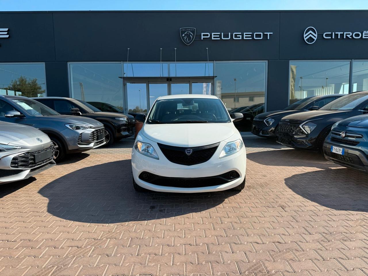 Lancia Ypsilon 1.2 69 CV 5 porte GPL Ecochic Elefantino Blu