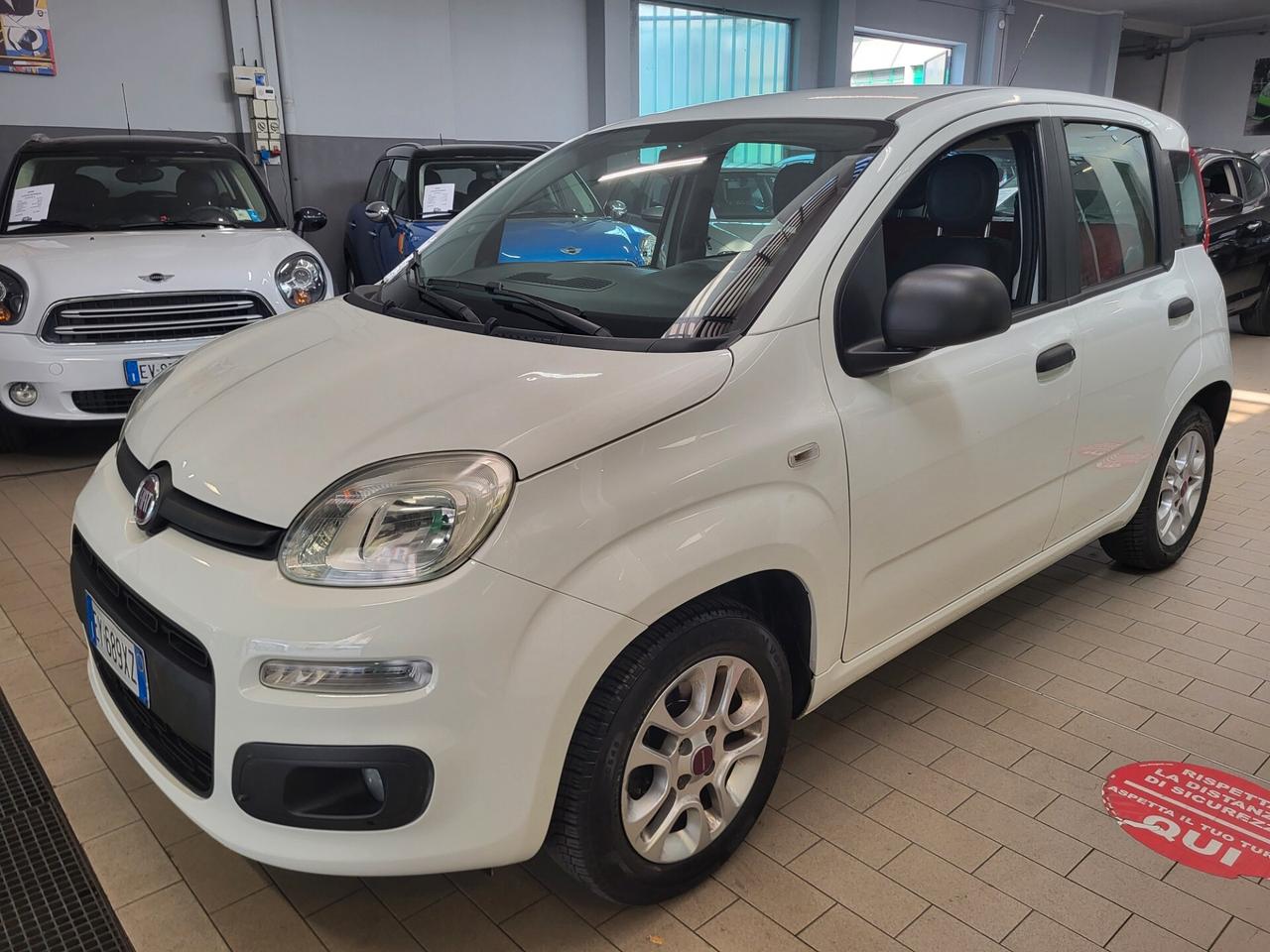 Fiat Panda 1.2 Young PREZZO REALE!!