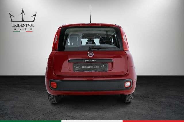 Fiat Panda 1.2 Pop 69cv E6