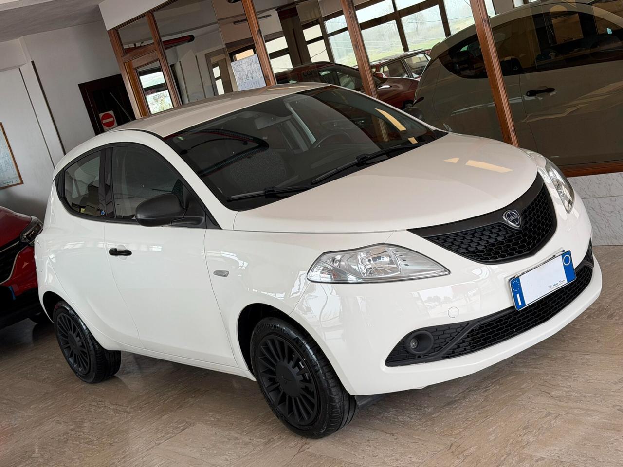 Lancia Ypsilon 1.2 69 cv. ELEFANTINO BLU