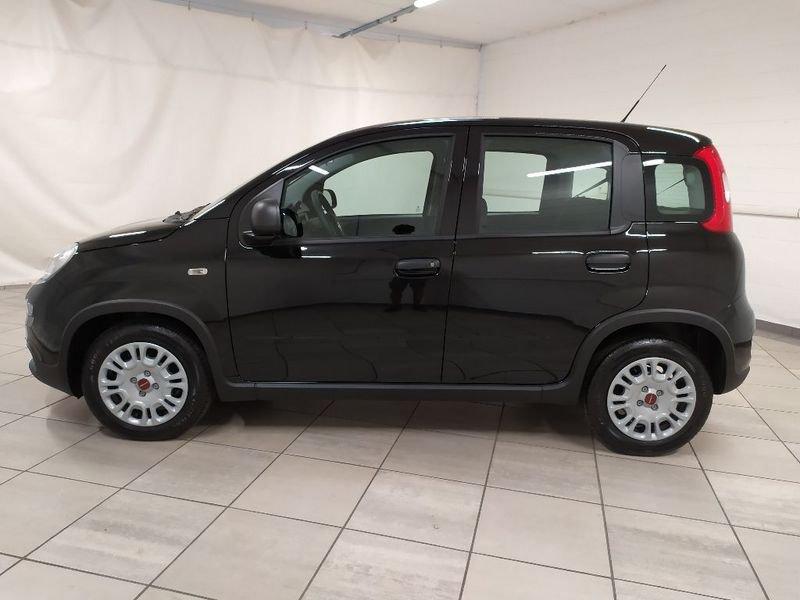 FIAT Panda 1.0 firefly hybrid s&s 70cv