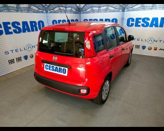 FIAT New Panda 1.2 69cv Easy