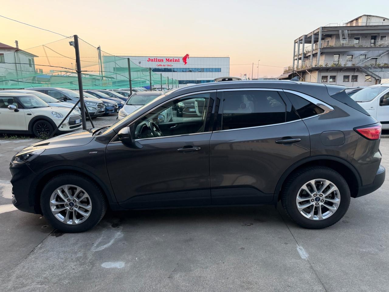 Ford Kuga 2.0 EcoBlue Hybrid 150 CV 2WD ST-Line