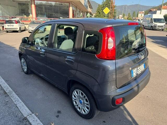 FIAT Panda 3ª serie Panda 1.2 Pandazzurri