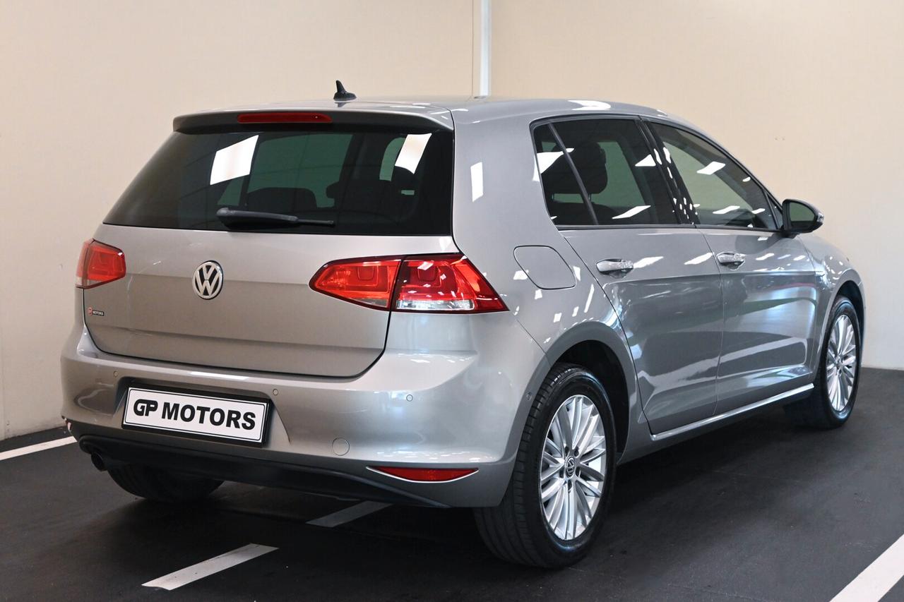 VOLKSWAGEN Golf 7ª serie Golf Business 1.6 Blu...