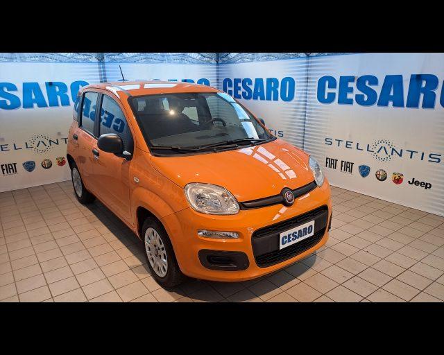 FIAT New Panda 1.2 69cv Easy s&s