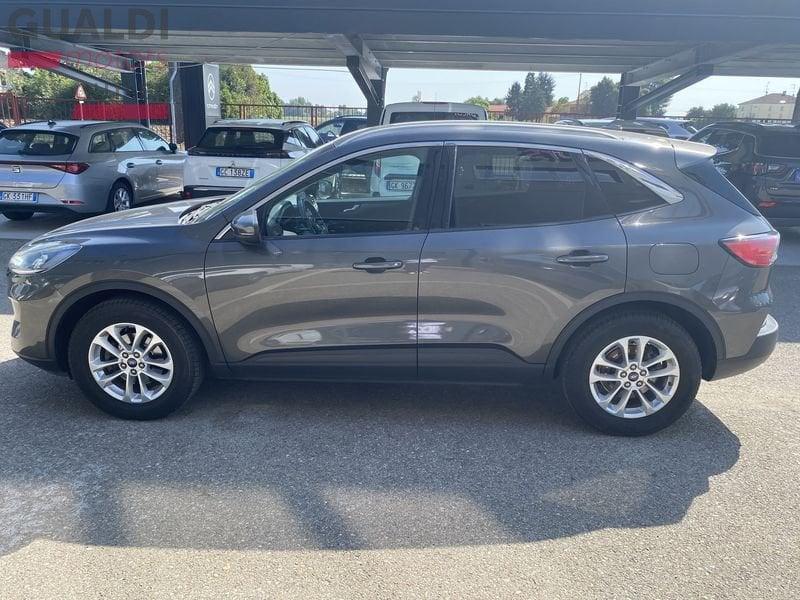 Ford Kuga Kuga 1.5 EcoBlue 120 CV aut. 2WD Titanium Business