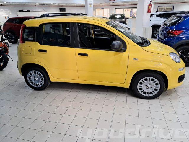 FIAT New Panda 1.0 FireFly S&S Hybrid Pop KM0
