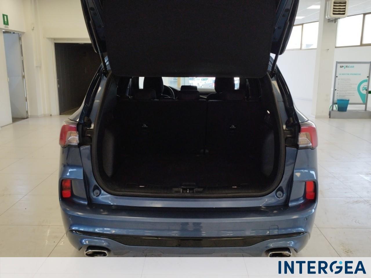 FORD Kuga 2.0 ecoblue ST-Line X Design 2wd 120cv