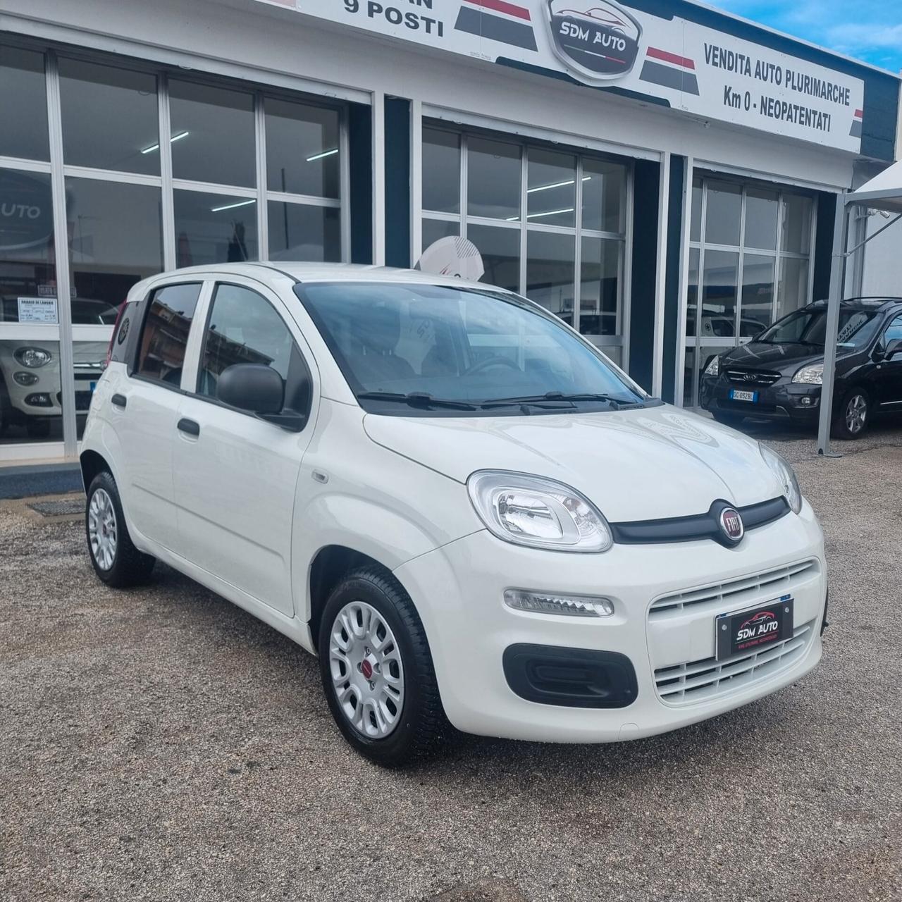 FIAT PANDA 1.2 BENZINA -- 1.3 MULTIJET VARI COLORI