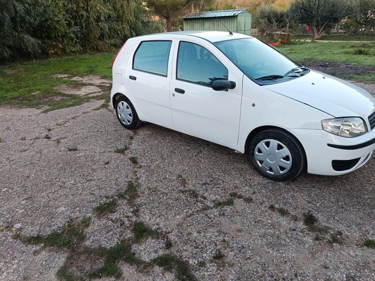 Fiat Punto 1.3 Multijet 16V 5 porte Actual