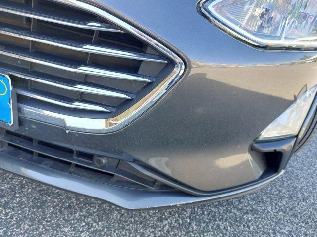 FORD Focus 1.5 EcoBlue 120 CV SW Business