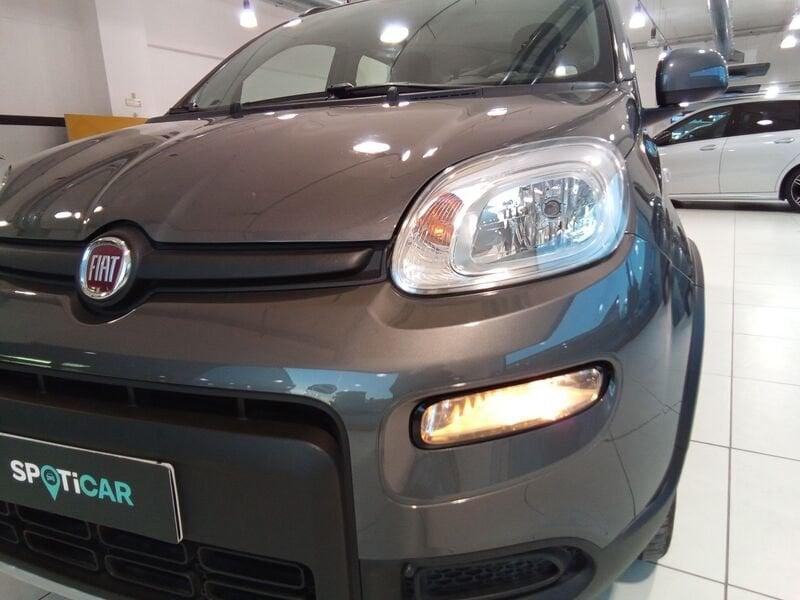 FIAT Panda Panda 1.0 firefly hybrid s&s 70cv 5p.ti