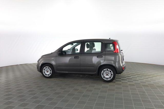 FIAT Panda Panda 1.0 FireFly Hybrid