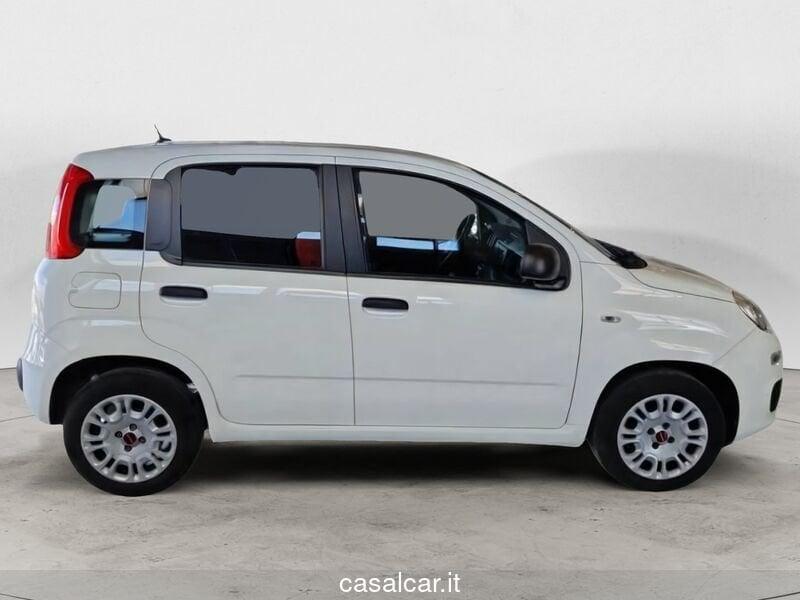 FIAT Panda Panda 1.2 Easy 3 AANI DI GARANZIA KM ILLIMITATI PARI ALLA NUOVA