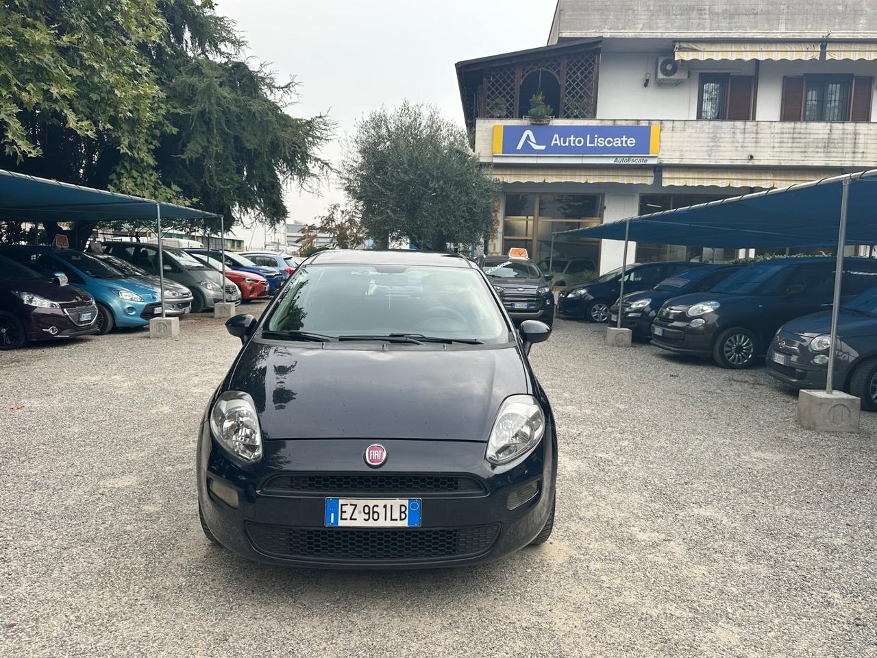 Fiat Punto 1.2 8V 5 porte Lounge