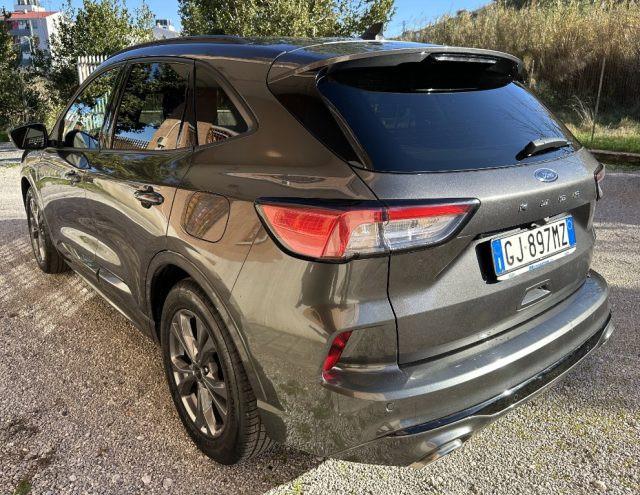 FORD Kuga 1.5 EcoBlue 120 CV 2WD ST-Line GARANZIA