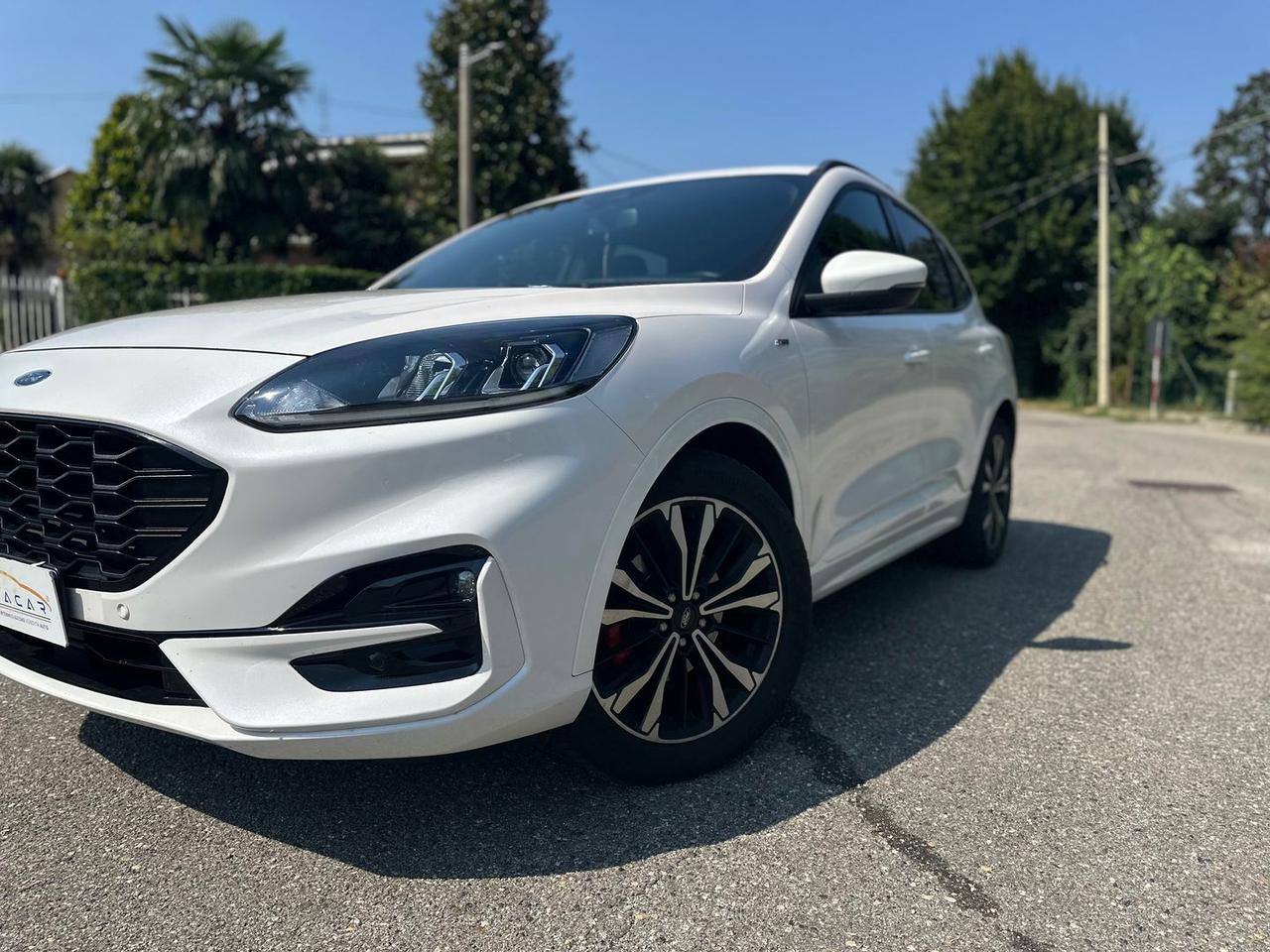 Ford Kuga ST Line 2.0 EcoBlue mHEV #6516