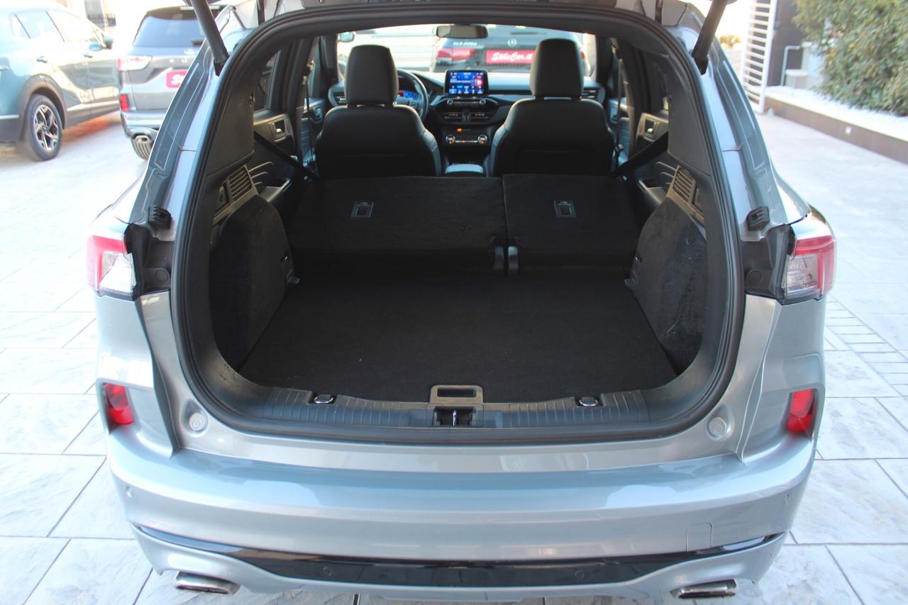 Ford Kuga 1.5 EcoBlue 120 CV aut. 2WD ST-Line X