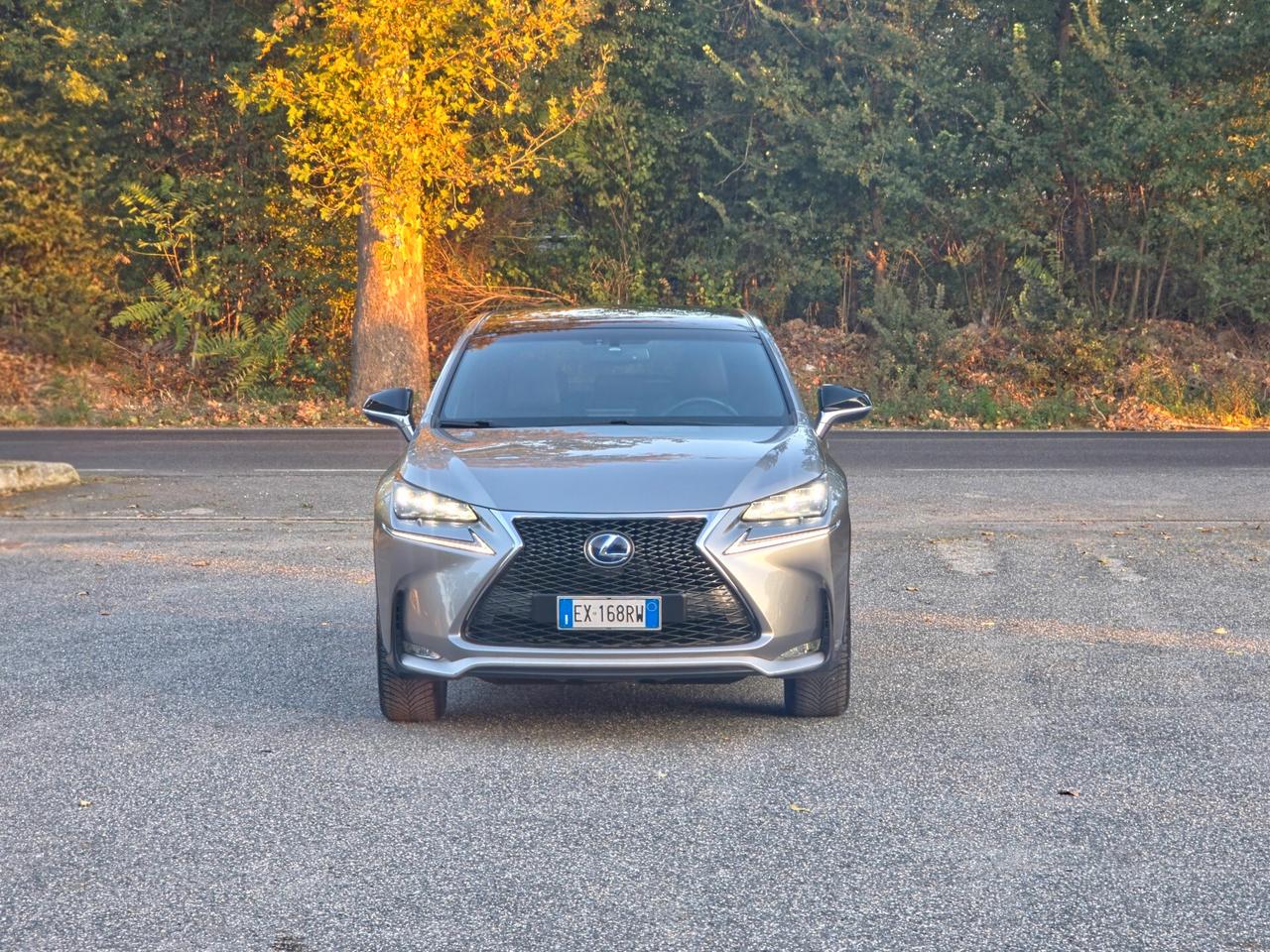 Lexus NX 300h Hybrid 4WD CV-197 F-Sport E6 Automatico 2014