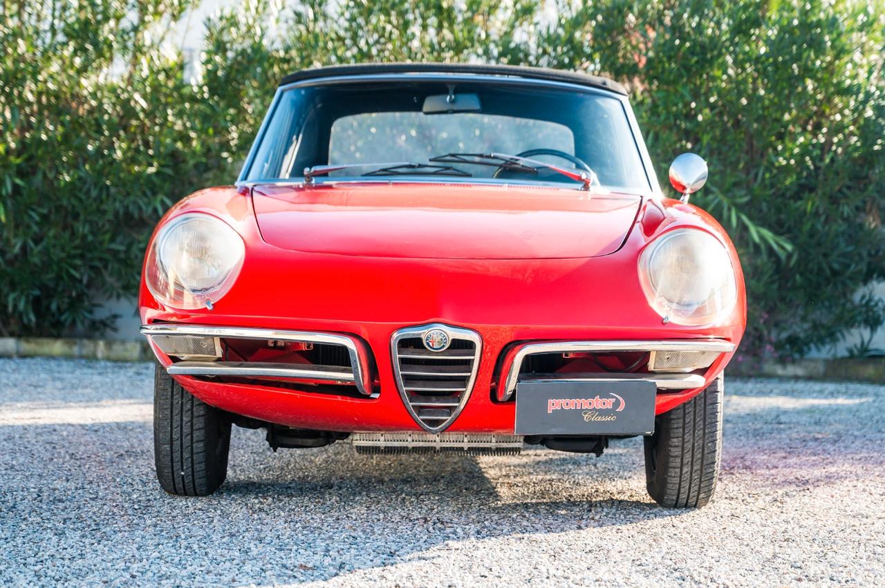 Alfa Romeo Spider 1600 Duetto ”Osso di Seppia”