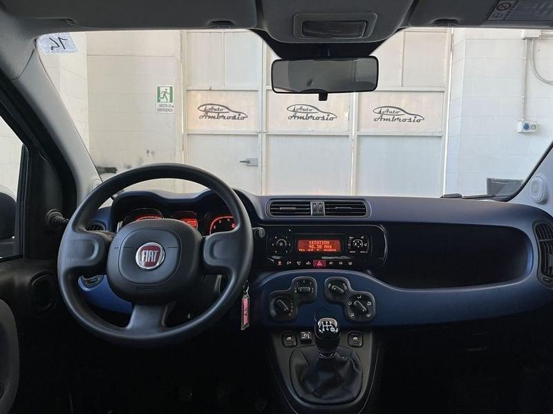 FIAT Panda Panda 1.2 GPL tua da 99,00 al mese