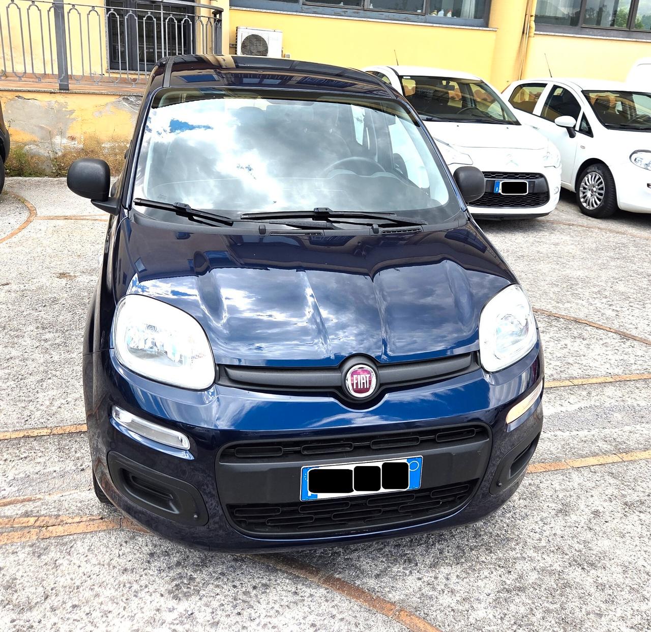 Fiat Panda 1.2 SOLO 34000 KM 5 POSTI GARANZIA