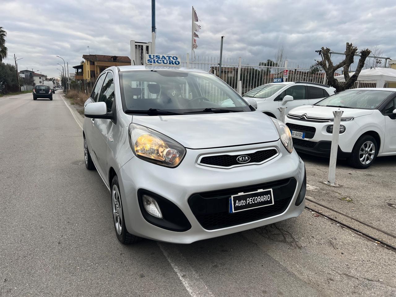 Kia Picanto 1.0 12V 5 porte Trendy