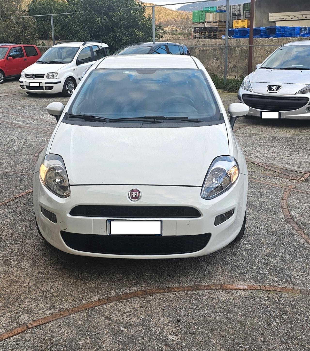 Fiat Punto 1.3 MJT II 75 CV TAGLIANDATA GARANZIA