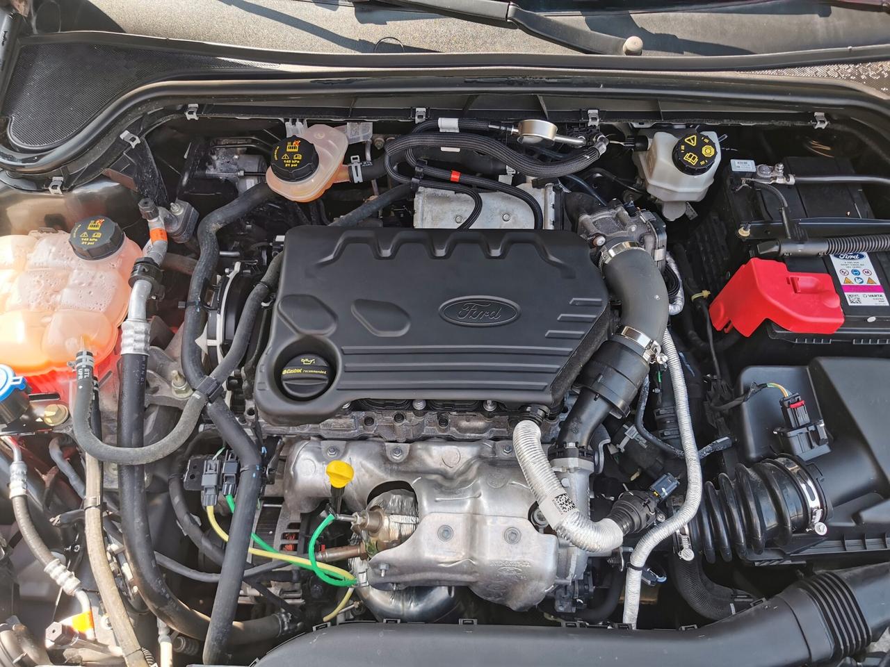 Ford Focus 1.5 EcoBlue 120cv 5p. Business