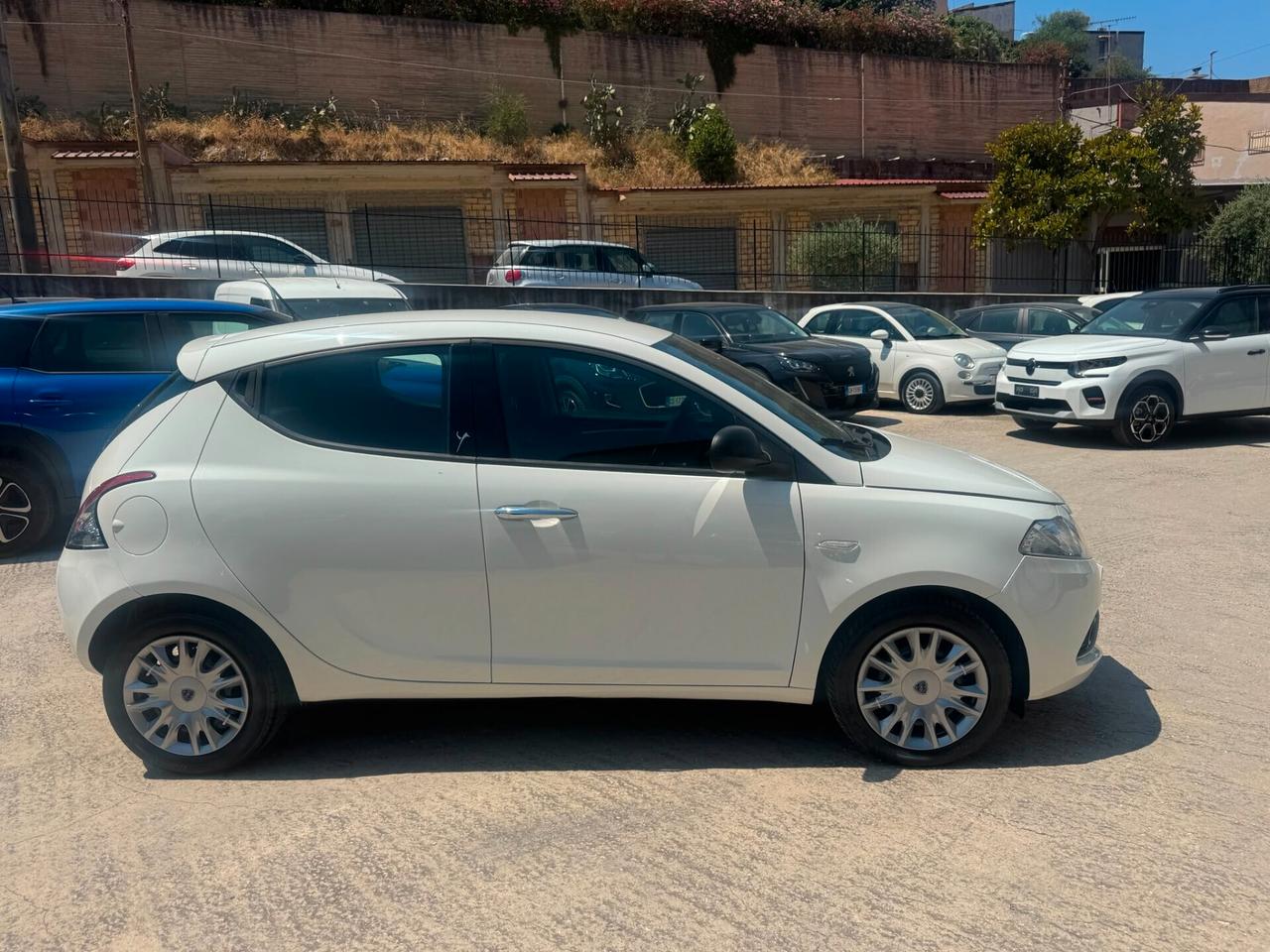 Lancia Ypsilon 1.3 MJT 16V 95 CV 5 porte S&S Platinum