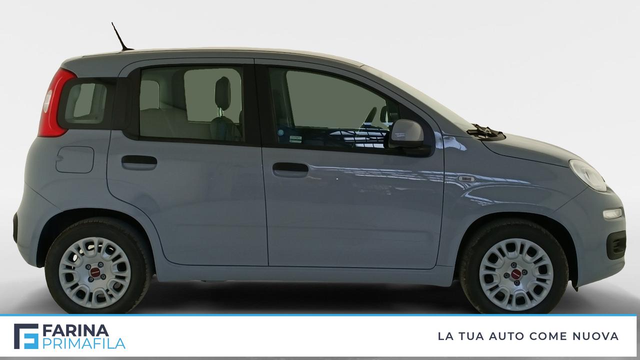 FIAT Panda III 2021 - Panda 1.0 firefly hybrid s&s 70cv