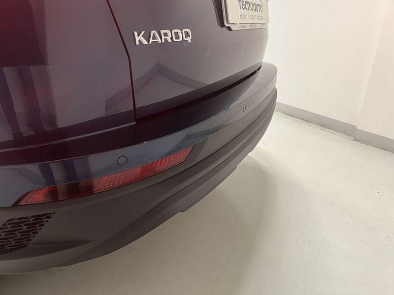 Skoda Karoq 2.0 TDI EVO SCR 115 CV DSG Executive