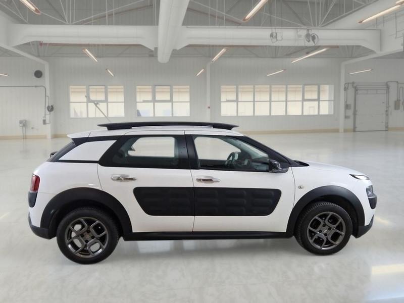 CITROEN C4 CACTUS 1.6 bluehdi Shine 100cv