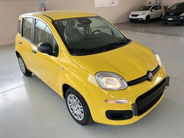 Fiat Panda Pandina 1.0 FireFly 65 CV Hybrid Icon