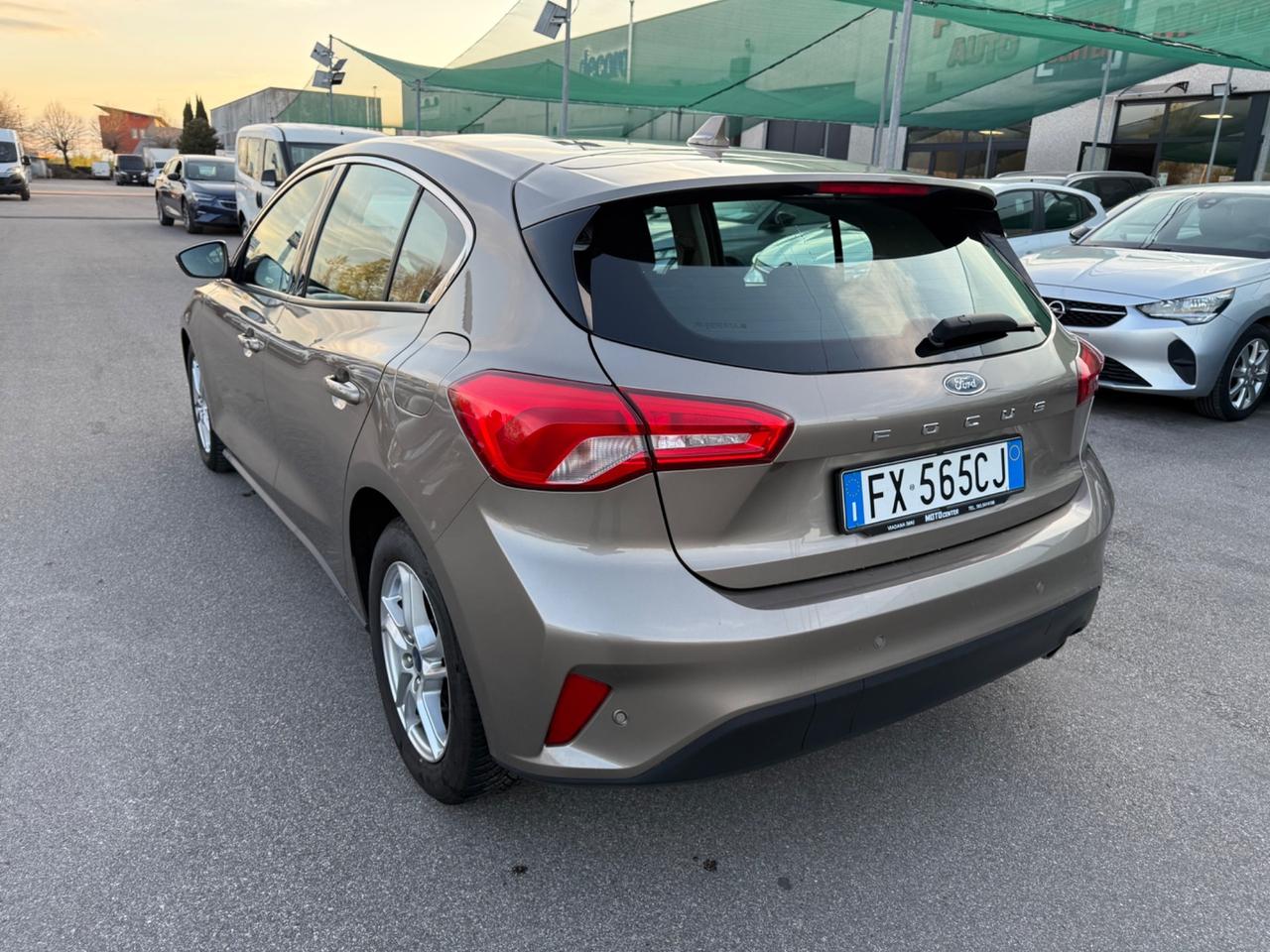 Ford Focus 1.5 EcoBlue 120 CV automatico 5p. Business Co-Pilot