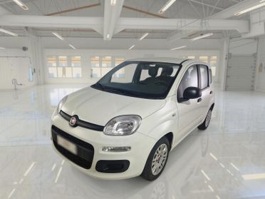 FIAT PANDA 1.0 FireFly 70cv S/S Hybrid 5 PORTE