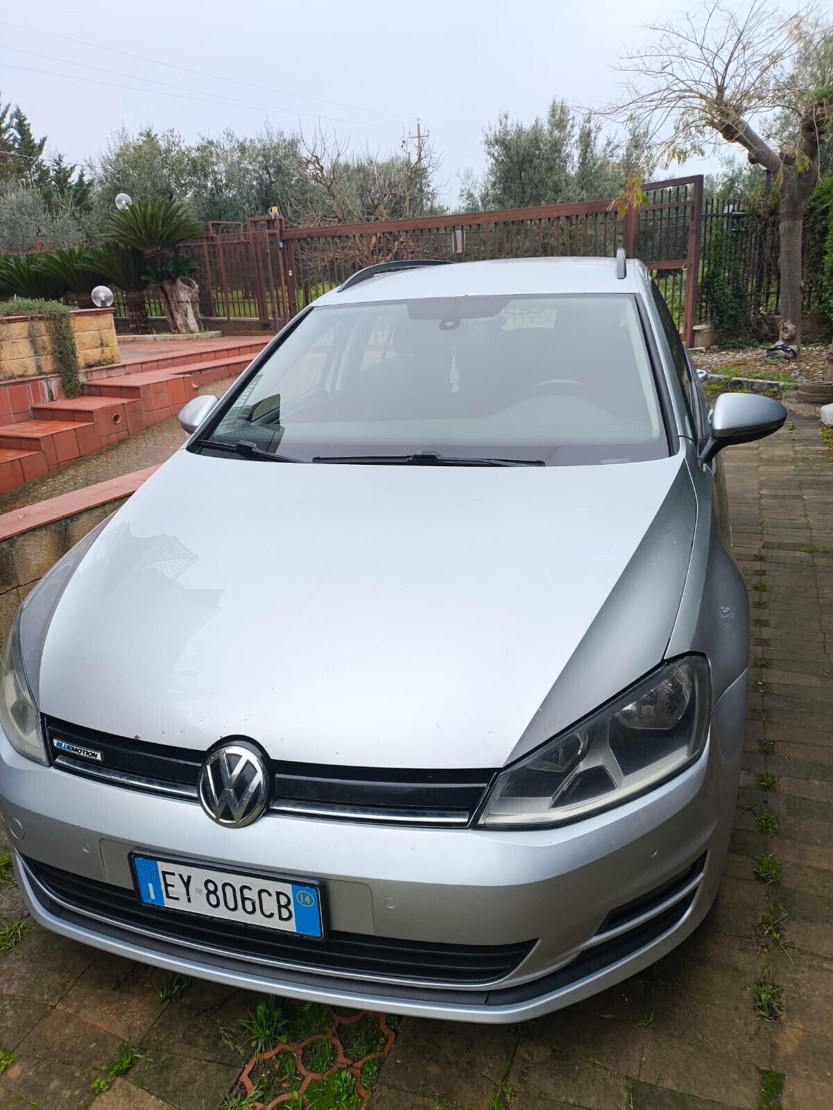 Volkswagen Golf Business 1.4 TGI DSG 5p. Highline BlueMotion