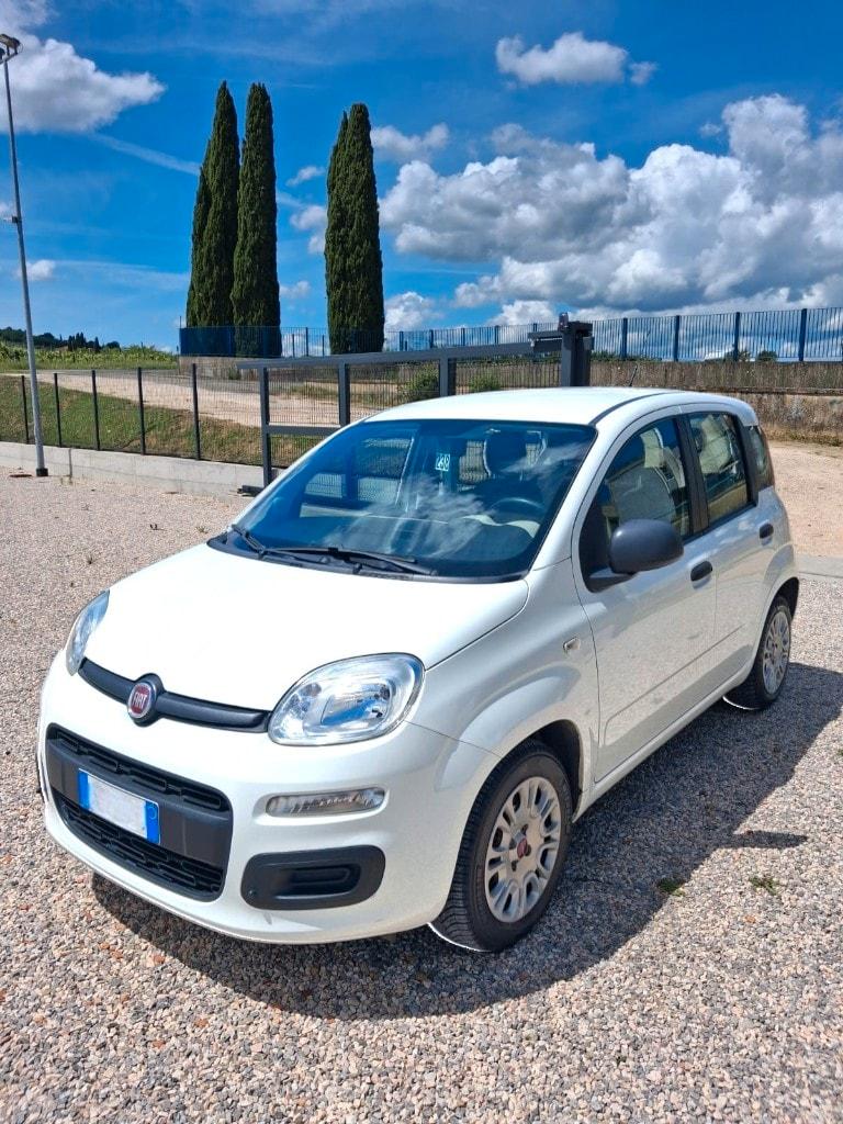 FIAT Panda 3ª serie Panda 1.3 MJT S&S Easy