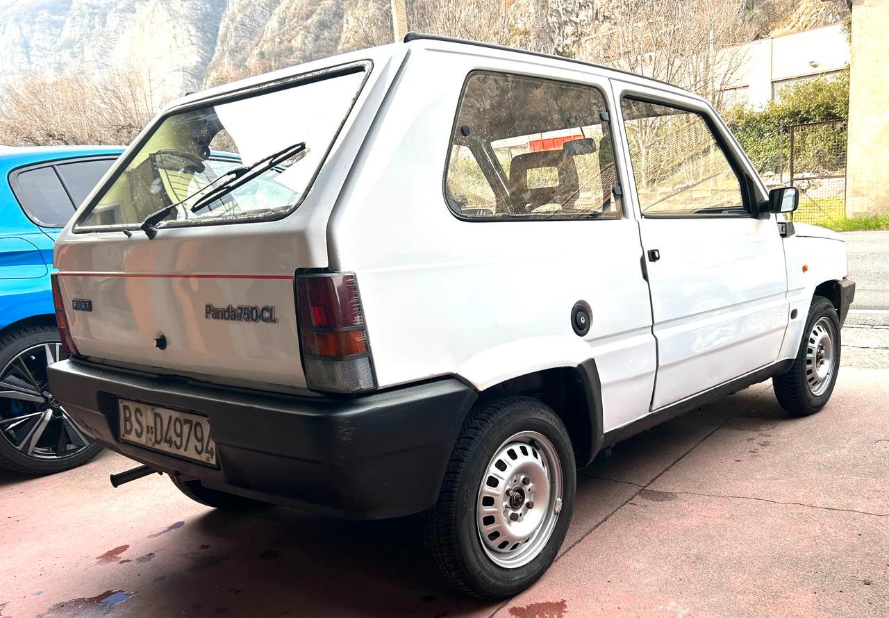 FIAT Panda 750 YANG